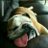 luis_silva_0995's profile image