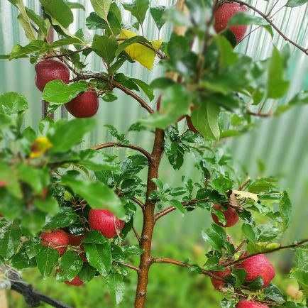 Christianb40775's profile picture. 