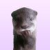 $Chitan (@chitan_otter) Twitter profile photo $Chitan (@chitan_otter) Twitter profile photo