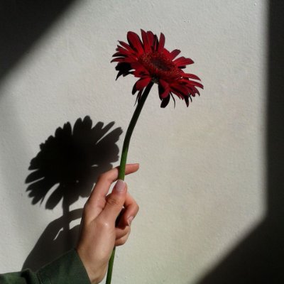 Through love's demise and echoes, the soul speaks. Can you hear it?#Poetry