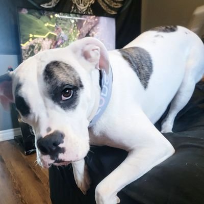 pepsitits's profile picture. see you in hell