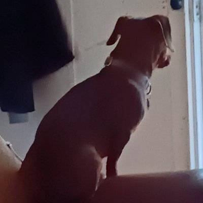 DBell86655's profile picture. 