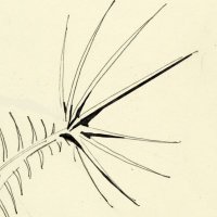 6ix (@filledmouth) 's Twitter Profile Photo