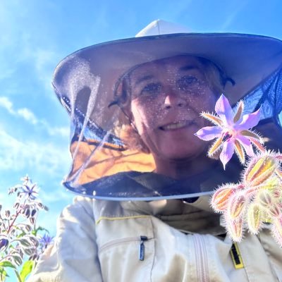 The Dorset Bee Profile