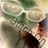 StitchOnYou's profile image