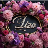 Lizo Mtsolo (@lizo207898) 's Twitter Profile