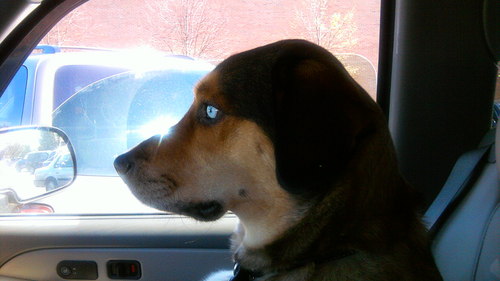 JP670's profile picture. 