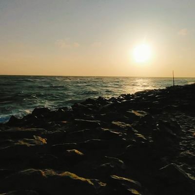 kvenky19's profile picture. On PrEP. Can Host. Wild & Raw🔥

Have Sexy Bubbly Butts❤️

#Kink #BDSM #NSA #Switch #Desi #DiscreetnessRespected #FeetFetish #Pogonophile #Hodophile #Partnered