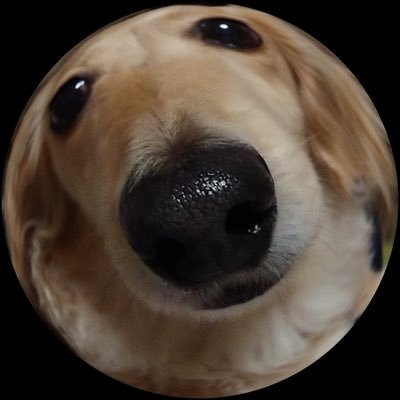 UsusJun's profile picture. 道南で鮭釣り・投釣り・ロックフィッシュ なとを広く浅くいろいろとやってます ツイッターはほぼ見てるだけみたいな物なので 失礼がありましたらすいません