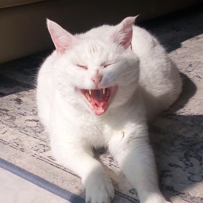 Marguer81335633's profile picture. Normandie ❤️🇫🇷