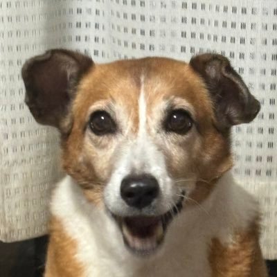つな🧸♔ 🥞💫さんのプロフィール画像