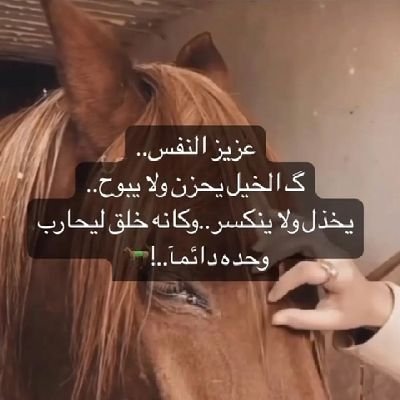 من راس أبوه وراس جده وراسه اهتزت سياسات وبلدان وحشودواليوم ف موته عروش السياسةاهتزت وتنعى ع العالم سعود