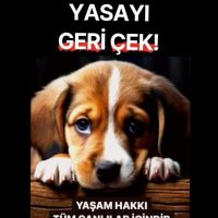 hak hukuk adalet!Ulu önder Atamın yolunda! 🐾🐾🌳 (@ati_lena_10_35) 's Twitter Profile Photo hak hukuk adalet!Ulu önder Atamın yolunda! 🐾🐾🌳 (@ati_lena_10_35) 's Twitter Profile Photo