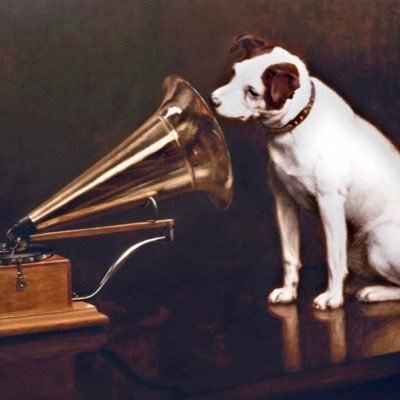 hmv kings lynn Profile