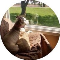 Denise Beaudoin 🇺🇸 (@pearlypoo3) 's Twitter Profile