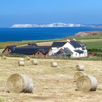 Chale Bay Farm (@chalebayfarm) 's Twitter Profile Photo Chale Bay Farm (@chalebayfarm) 's Twitter Profile Photo