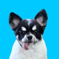 ふくめん (@fukumen_bwc) 's Twitter Profile