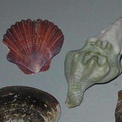 maluithil's profile image