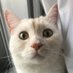 vanilla🤭@pernod1226 (@pernod1226) Twitter profile photo vanilla🤭@pernod1226 (@pernod1226) Twitter profile photo