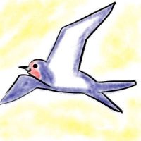 つばめ (@tubame_kapo) Twitter profile photo