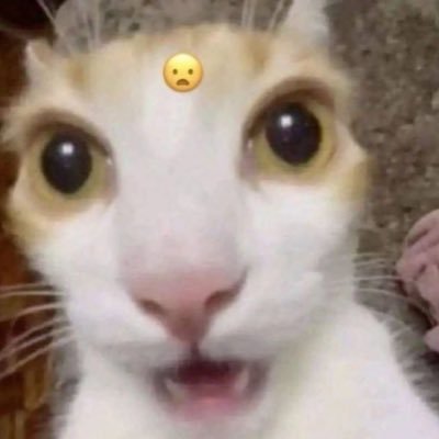 haniiは二 (comms soon!)さんのプロフィール画像