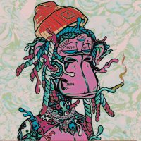 La Benjii | $PLIFF🧪👽 (@labenjii) 's Twitter Profile