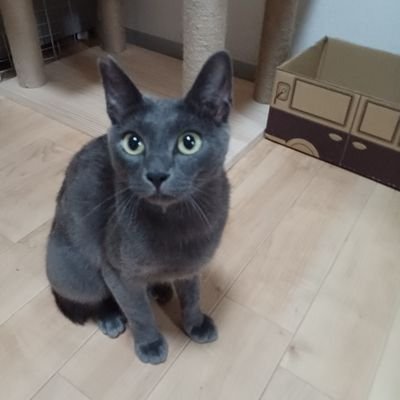 6Cgw7Oc4zu3RviG's profile picture. 🇯🇵日本を豊かに、強く
🇯🇵日本は2000年以上続く最古の国で、世界一素晴らしい国です
その日本が今まさに壊れかけています
今の自民党に任せては、本当に日本は駄目になってしまうでしょう
時代の転換期、🇯🇵日本保守党を応援し日本の明るい未来を目指します！
 #六四天安門