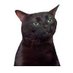 Romeo (@romeo_schlauch) Twitter profile photo Romeo (@romeo_schlauch) Twitter profile photo