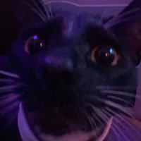 cappu! 🫧 kofi ☕️ (@shibas0da) 's Twitter Profile Photo cappu! 🫧 kofi ☕️ (@shibas0da) 's Twitter Profile Photo