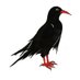 4th World Congress of Psychogeography (@tykepsychogeog) Twitter profile photo 4th World Congress of Psychogeography (@tykepsychogeog) Twitter profile photo