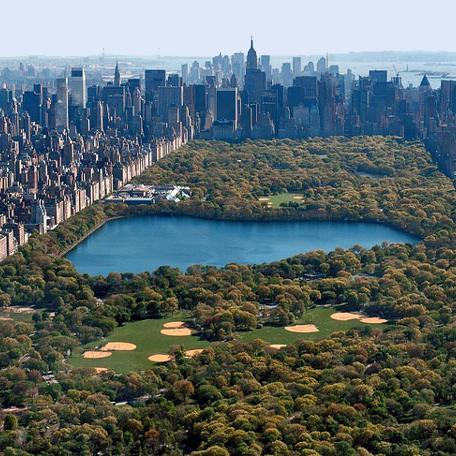 nyctemperature's profile picture. 