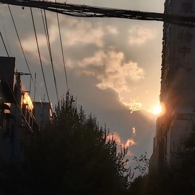 gjvv229747's profile picture. 08