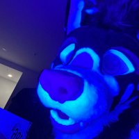 Atlas 🌵 (@atlastheyote) 's Twitter Profile Photo