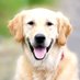 TheWorldsCutestAnimals (@worlds_cutest_) Twitter profile photo TheWorldsCutestAnimals (@worlds_cutest_) Twitter profile photo