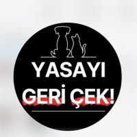 Risky Mirror (@tcriskymirror) 's Twitter Profile