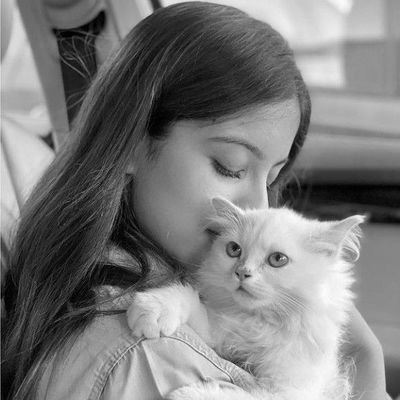 you can't say something nice, don't say nothin' at all !
pet Lovers !🐰
