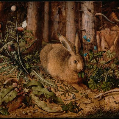 Gypsyspae's profile picture. 