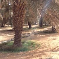 د. سعد الموسى (@saadalmosa) 's Twitter Profile Photo د. سعد الموسى (@saadalmosa) 's Twitter Profile Photo