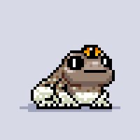 alper 🐸 🐌 (@tasalper) 's Twitter Profile