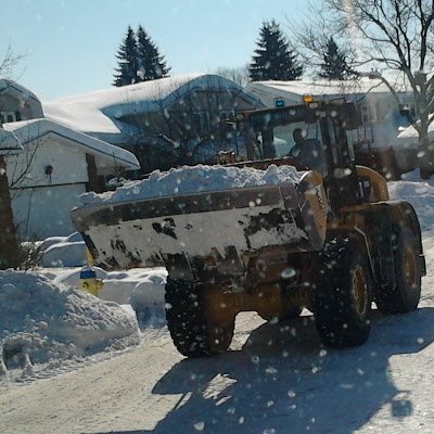 WilliamMes63343's profile picture. 