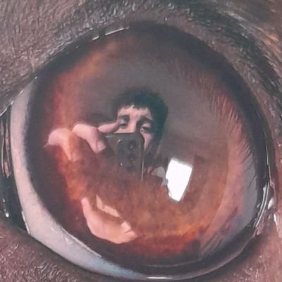 danimonocさんのプロフィール画像