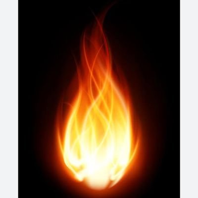 TheFireNew28686's profile picture. 