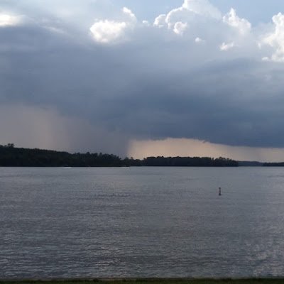 luisanah1171's profile picture. 