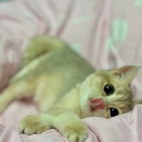 Une noire thaïlandaise de Bangkok (@oui33m11) 's Twitter Profile