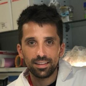 Professor and researcher at Iron Metabolism: Regulation and Disease (UIC)