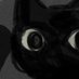 Anto ☂️ (@antoinelae) Twitter profile photo Anto ☂️ (@antoinelae) Twitter profile photo