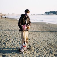 こうのめいた (@inuinu_inu) 's Twitter Profile