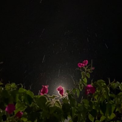 xilx1_'s profile picture. سبحان الله