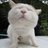 yuyuyuki410's profile image