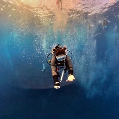 todizh's profile picture. 